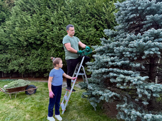 Father and daughter trimming a tree in the backyard