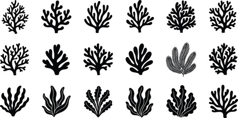 Coral and seaweed silhouette set, marine plant vector collection, ocean nature, underwater flora, aquatic illustration design