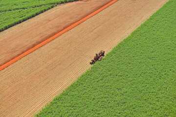 Colheita em Canavial