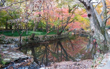 한국의 사계절 중 가을 단풍 풍경,고창 선운사 도솔천의 단풍