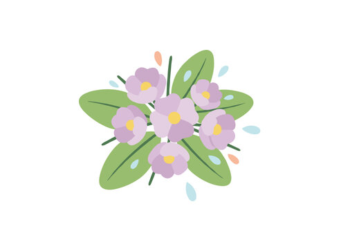 A vintage botanical illustration of a Hepatica flower, depicting a liverwort in a retro style, with blooming liverleaf flowers rendered realistically by hand as a vector illustration against a white