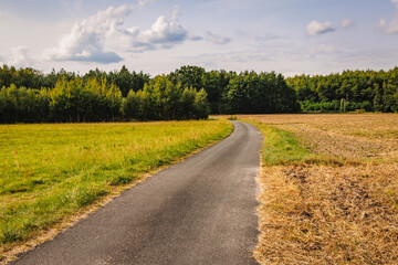 Country road in Dworzno village near Mszczonow city, Zyrardow County, Poland