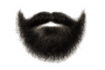Black beard and mustache grooming accessory on transparent background representing masculine facial hair style