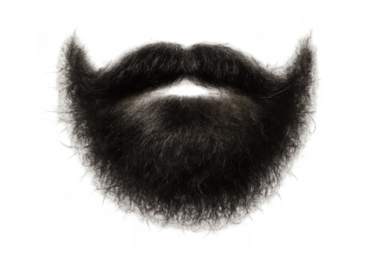 Black beard and mustache grooming accessory on transparent background representing masculine facial hair style