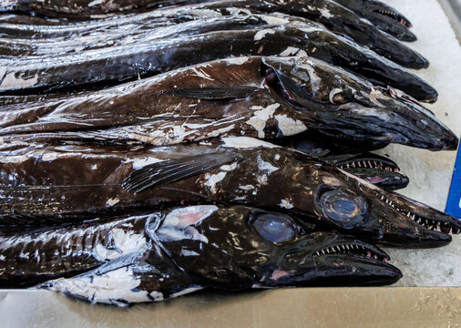 Black scabbardfishes for sale on Mercado dos Lavradores Farmers Market in Funchal, Madeira, Portugal
