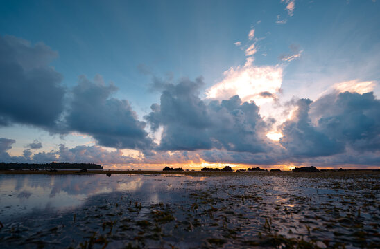 A tranquil coastal scene at sunset, with dramatic clouds illuminated by golden light. Reflective tidal pools mirror the sky as distant rocks and shoreline create a quiet, contemplative mood.