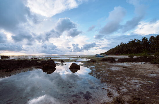 A serene coastal scene showing rocky tidal pools, calm water reflections, and a line of palm trees along the shore. Soft dusk light enhances the tranquil tropical atmosphere. - Powered by Adobe