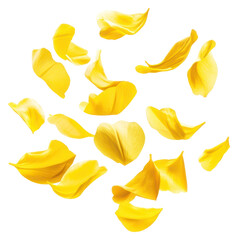 Naklejka premium PNG Yellow petals floating flower white blossom.