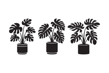 Fototapeta premium Three potted monstera plants in a minimalist silhouette style