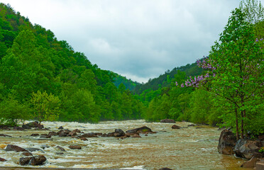 Ocoee River  flows through the southern Appalachian Mountains  and  is known for its  whitewater rapids, appealing to kayakers and rafting enthusiasts.