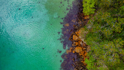 Paradisiacal Tropical Beach With Blue Sea Atlantic Ocean Coast Surrounded By Atlantic Forest Angra Dos Reis Rio De Janeiro Brazil South America Idyllic Heavenly Landscape Summer Travel Destination