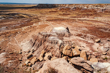 Petrified Forest National Park is a national park of the United States in Navajo and Apache...