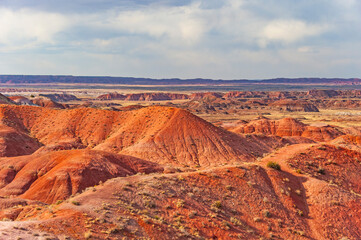 Petrified Forest National Park is a national park of the United States in Navajo and Apache counties in northeastern Arizona, famous for petrified logs, fossils, badlands,  ancient petroglyphs, painte