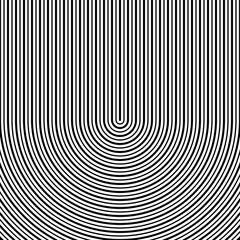 Black circular lines on white background. Striped wallpaper. Surface pattern design with symmetrical linear ornament. Stripes motif. Digital paper with curves for page fills, designing, textile print.