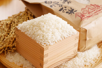 日本の主食・米と稲穂、秋の収穫イメージ