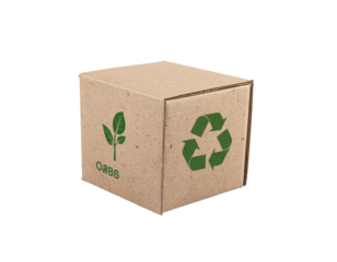 Eco-Friendly Recycled Cardboard Box