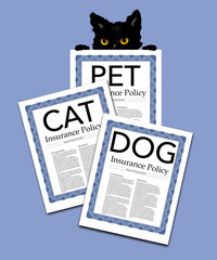 A cute black cat with yellow eyes is seen with pet insurance policies that provide health insurance for veterinary expenses.