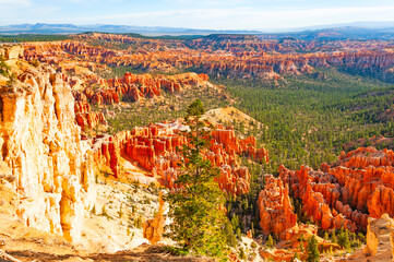 Bryce Canyon National Park, located in Utah state. The red, orange, and white colors of the rocks provide spectacular views for park visitors.
