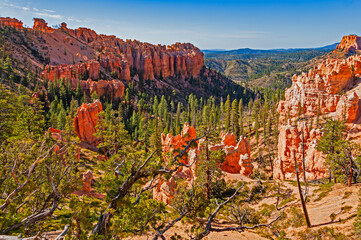 Bryce Canyon National Park, located in Utah state. The red, orange, and white colors of the rocks...
