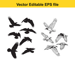 Obraz premium Set of black silhouette flying birds and detailed line art birds in flight