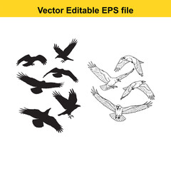 Obraz premium Assortment of black silhouette flying birds and detailed line art birds in flight