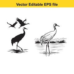 Obraz premium A black silhouette crane standing in water with two flying cranes above, contrasted with a detailed line drawing of a crane in water