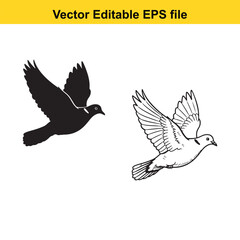 Obraz premium Two doves flying, one black silhouette and one white line drawing