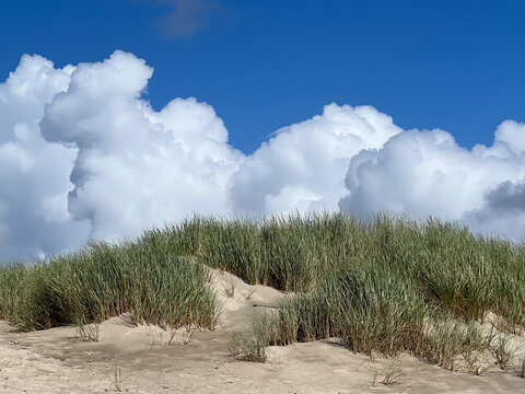 Cloud animal over dunes