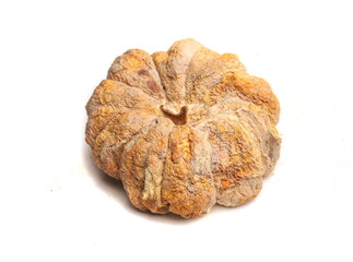rotten pumpkin on a white background