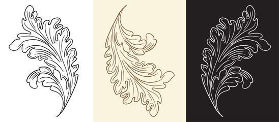 Scroll leaves vintage hand drawing design elements vector