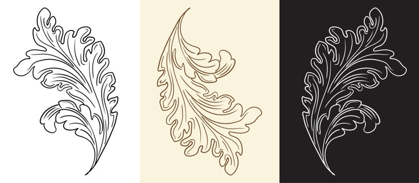 Scroll leaves vintage hand drawing design elements vector