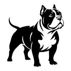 American Bully Dog