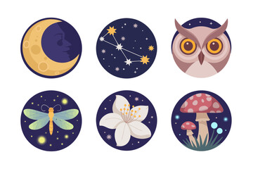 Colored outline vector icons for night nature, representing crescent moon, stars, owl, butterfly, flower, mushroom, and nocturnal forest scene.