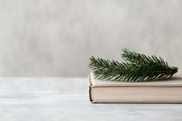 Minimal christmas composition with evergreen branch on closed book, neutral background, peaceful winter holiday mood
