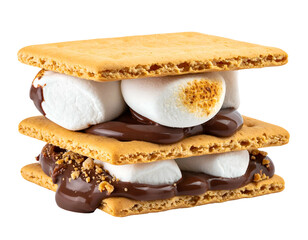 Gooey, toasted marshmallow and chocolate sandwich