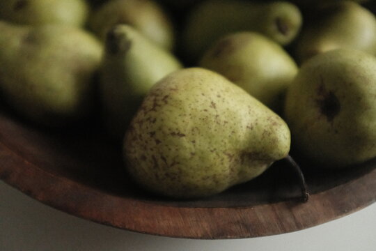 Organic farm green pears, autumn harvest. Not perfect uneven small pears organically grown without pesticides. Aesthetic artistic photo. - Powered by Adobe