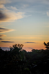 Amazon Rainforest Sky