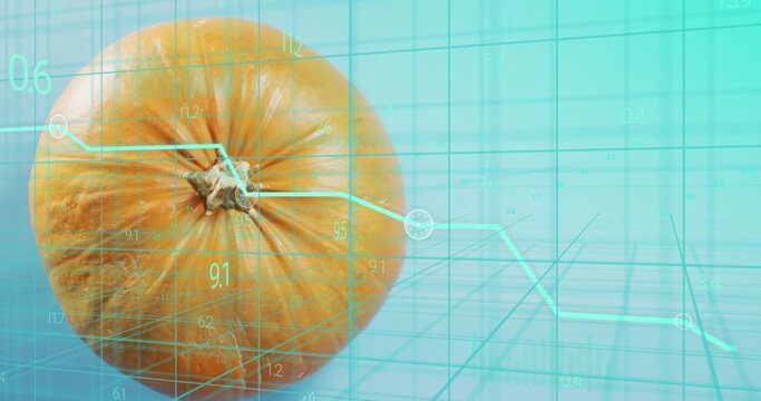 Displaying orange pumpkin sitting left in studio with cyan teal line chart, 3D grid, copy space - Powered by Adobe