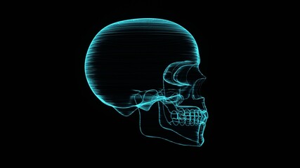 A holographic skull with a wireframe design. 
Perfect for futuristic, sci-fi, or dark-themed visuals.