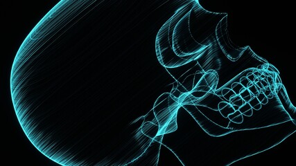 A holographic skull with a wireframe design. 
Perfect for futuristic, sci-fi, or dark-themed visuals.