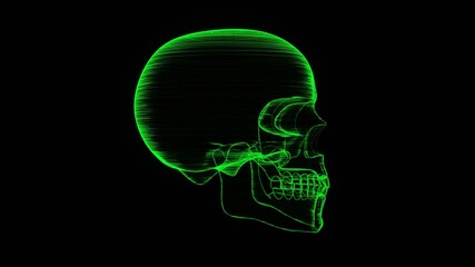 A holographic skull with a wireframe design. 
Perfect for futuristic, sci-fi, or dark-themed visuals.