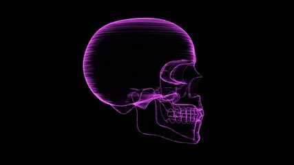 A holographic skull with a wireframe design. 
Perfect for futuristic, sci-fi, or dark-themed visuals.