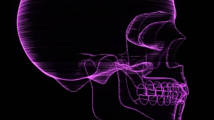 A holographic skull with a wireframe design. 
Perfect for futuristic, sci-fi, or dark-themed visuals.