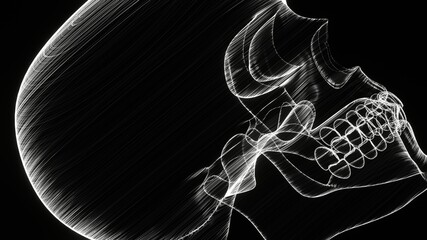 A holographic skull with a wireframe design. 
Perfect for futuristic, sci-fi, or dark-themed visuals.