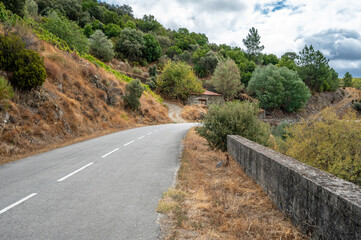 Rural road in Douro Valley wine region of Portugal under autumn cloudscape.