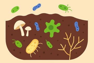 Soil Microorganisms Ecosystem