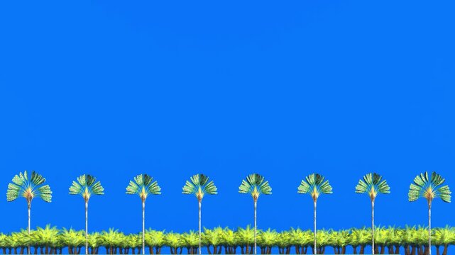 3D Travelers Palm on Blue Screen Background with Wind Motion