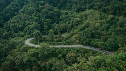 Aerial view of a serene winding road snaking through a vibrant, dense green forest, capturing the untouched beauty of nature's embrace and the call of an adventurous journey