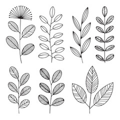 HandDrawn Botanical Leaf and Branch 