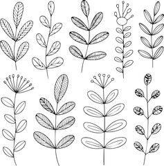HandDrawn Botanical Leaf and Branch Elements Collection